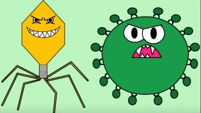 Bakteriler ve Virüsler İle Farkları ve Ortak Özellikleri