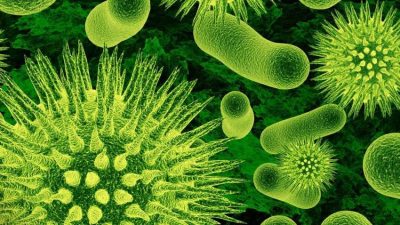 Mikrop Teorisi ve Tarihte Mikropların Keşfi