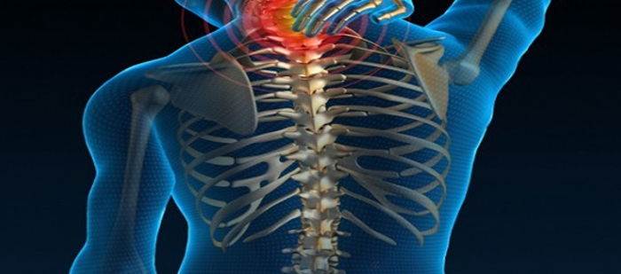 Spinal Kord Yaralanmaları
