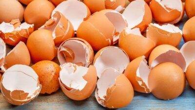 Yumurta Kabuğu Yemenin Faydaları