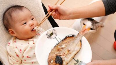 Bebeklere En Erken Ne Zaman Balık Verilir?