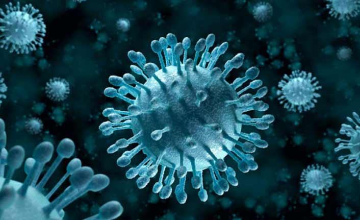 Rotavirüs Nedir ve Nasıl Bulaşır?