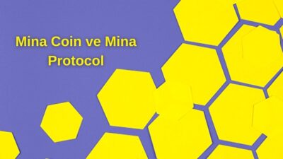 Mina Coin ve Mina Protocol | TRY Paritesi
